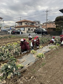 ����ͥ������